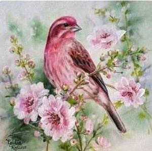 Meet your Posher, Cathy